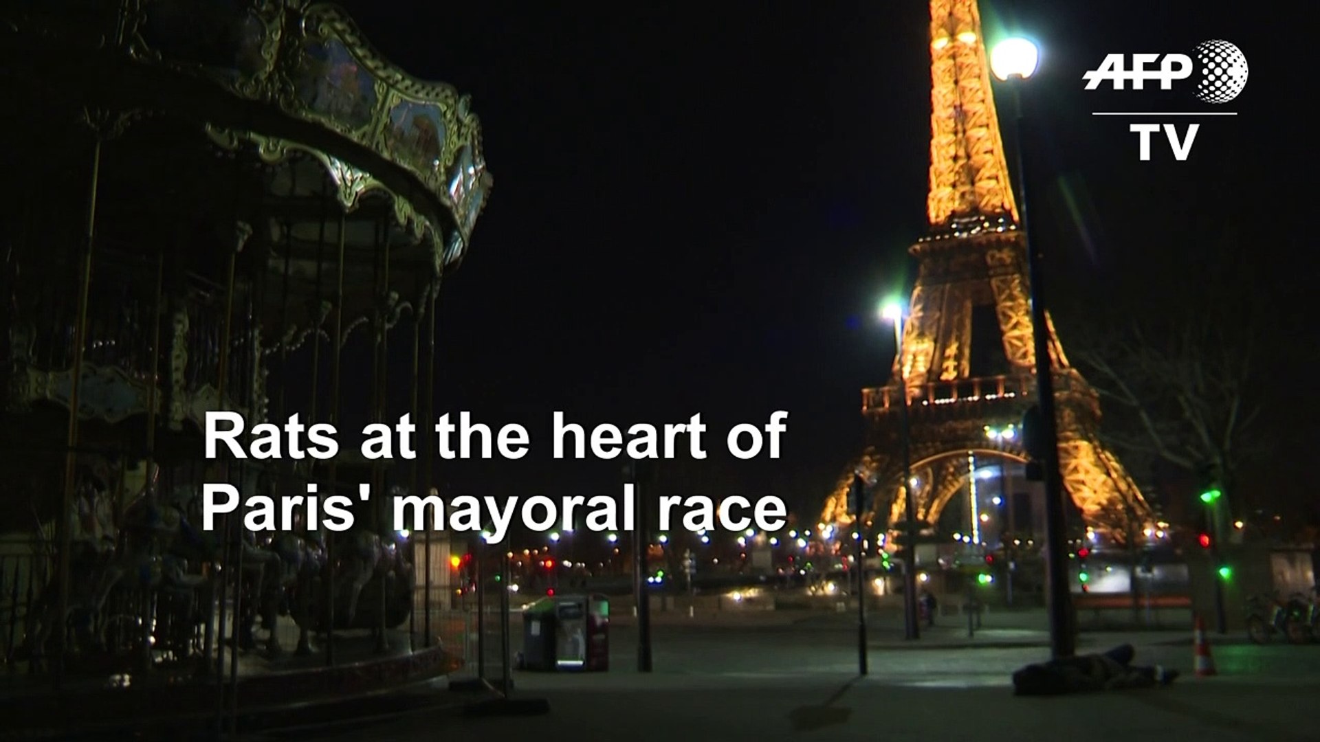Rat-race-rodents-become-talking-point-of-Paris-polls
