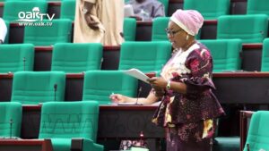 Reps-probe-alleged-23bn-diaspora-remittance-to-Nigeria