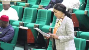 Reps-task-govt-on-inequality-faced-by-Nigerian-women