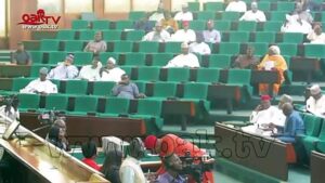 Reps-threaten-Foreign-Affairs-Minister-Geoffrey-Onyeama-over-Xenophobia