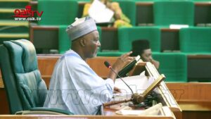 Reps-to-Buhari-Immortalise-Nigerias-Ebola-hero-Stella-Adadevoh