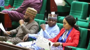 Reps-want-FG-to-review-decision-restricting-SON-NAFDAC-from-accessing-ports-boarders