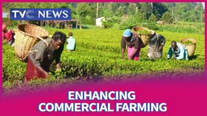 Rural-farmers-to-get-modern-tools-financial-support-from-FG