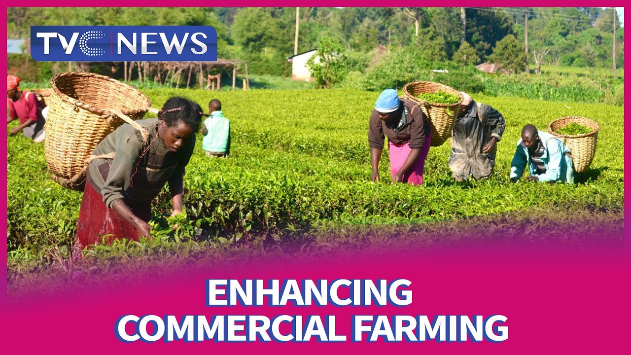 Rural-farmers-to-get-modern-tools-financial-support-from-FG