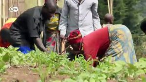 Rwanda-Green-village-helps-farmers-adapt-to-flooding