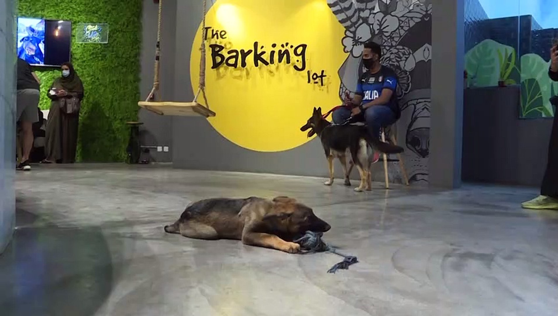 Saudi-Arabias-first-dog-cafe-delights-pet-lovers