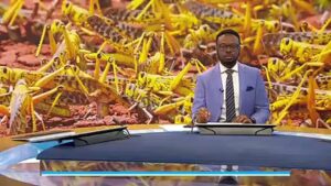 Second-wave-of-locusts-threatens-Kenyas-food-supply