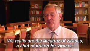 Secrets-of-Germanys-virus-island-revealed