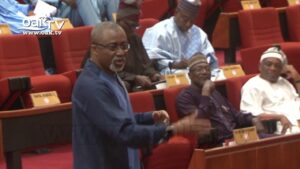 Security-agencies-overseeing-Nigerian-borders-have-failed-Abaribe
