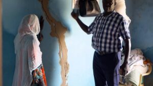 Senegalese-baobab-trees-under-pressure-from-cement-manufacturers