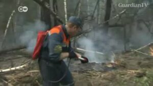 Siberian-fires-continue-to-wreak-havoc-Greenpeace-calls-it-a-climate-catastrophe