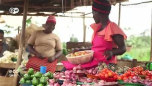 Solar-powered-fridges-help-Nigerian-farmers