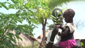 South-Sudanese-refugee-plants-trees-in-Uganda-to-help-fight-climate-change