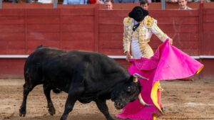 Spain-set-to-scrap-top-bullfighting-prize
