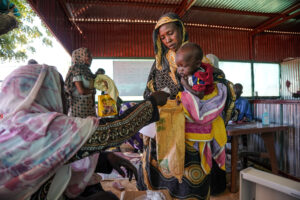 Sudan faces famine risk in 14 areas, experts say