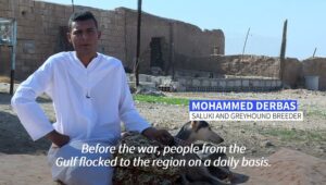 Syria-village-trains-racing-dogs-despite-war-and-pandemic