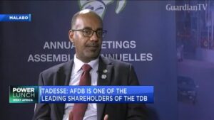 TDB-CEO-Funding-available-for-African-projects-but-not-enough-deals-1