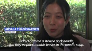 Thailand-hospital-restaurant-serves-up-cannabis-leaves-in-dishes