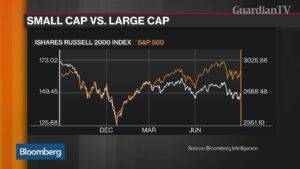 The-big-shorts-Michael-Burry-sees-another-contrarian-opportunity-emerging