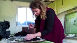The-farm-selling-snails-for-cosmetics-and-food