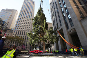 The-owl-and-the-Christmas-tree-a-tale-for-2020
