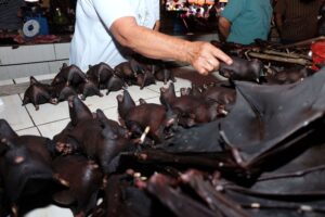 INDONESIA-CHINA-HEALTH-VIRUS-ANIMAL