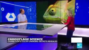 The-science-of-invisibility