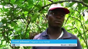 The-struggle-to-boost-cocoa-prices-in-Nigeria