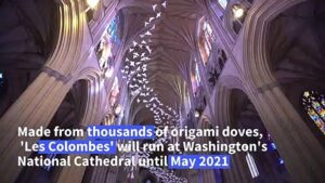 Thousands-of-paper-doves-symbolize-hope-for-2021-at-Washington-Cathedral