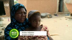 How-environmental-courts-can-help-Africa