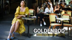 Trend-Update-The-color-of-2019-Goldenrod-Yellow