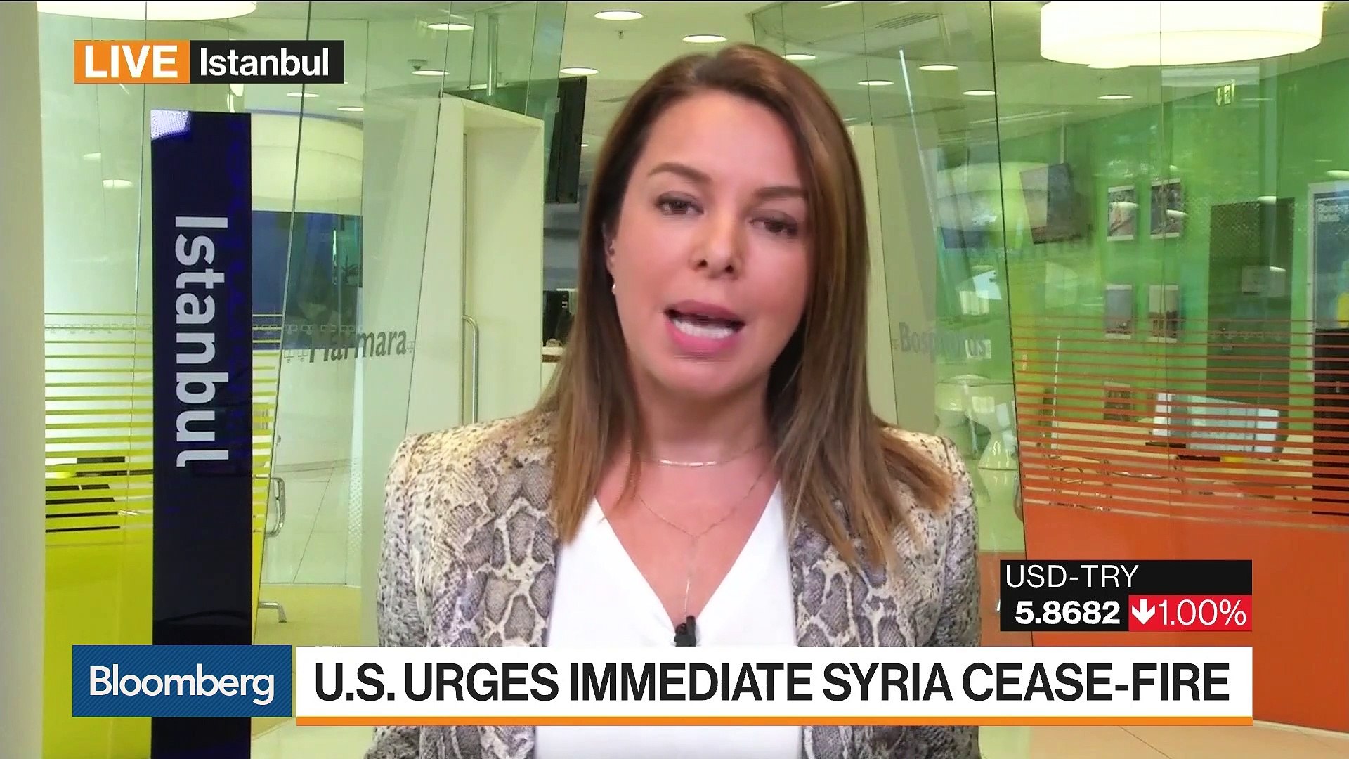 U.S.-urges-immediate-Syria-cease-fire-as-it-sanctions-Turkey