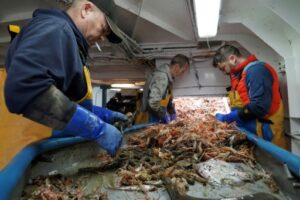 UK-fishermen-angling-for-big-catch-post-Brexit