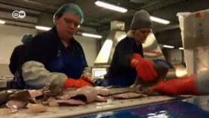 UK-fishing-industry-or-Brexits-red-herrings