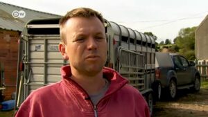 UK-sheep-farms-warn-of-surplus-in-case-of-no-deal-Brexit