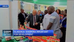 Unpacking-Nigerias-Diaspora-Investment-Summit-2019