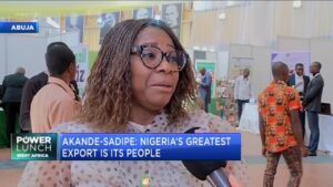 Voting-rights-for-Nigerians-abroad