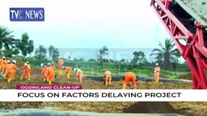 We-are-being-sidelined-from-Ogoni-cleanup-Women