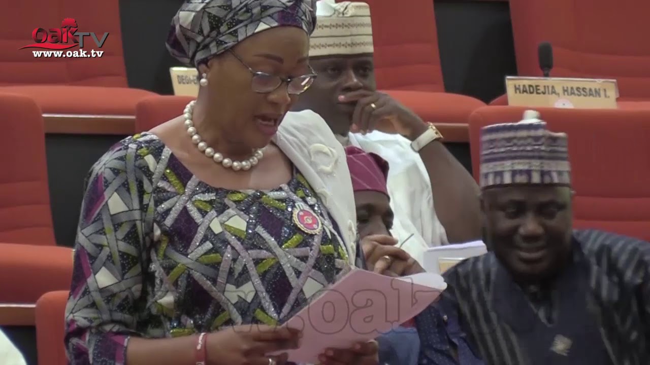 We-need-to-honour-late-Brigadier-General-Mobolaji-Remi-Tinubu-tells-Senators