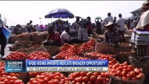 Whats-the-next-phase-for-AfDBs-strategy-for-agriculture