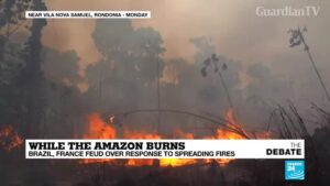 While-the-Amazon-burns