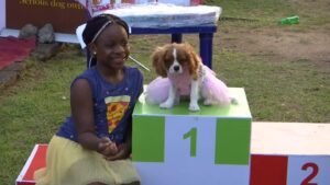 Who-let-the-dogs-out-Nigerians-show-off-their-prized-pooches