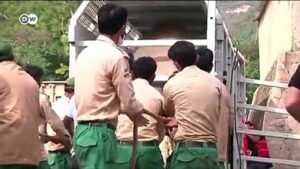 Worlds-loneliest-elephant-Kaavan-arrives-in-Cambodia-greeted-by-Cher