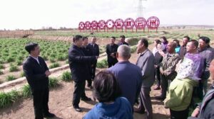 Xi-stresses-daylily-growing-in-poverty-alleviation