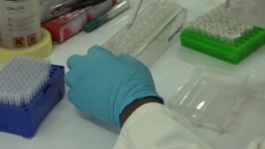 Zimbabwe-hit-by-malaria-outbreak-amid-Covid-19-lockdown