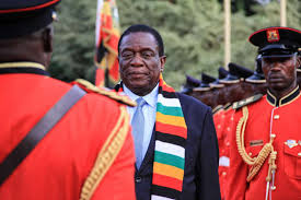 Zimbabwe-minister-accuses-opposition-of-gun-smuggling