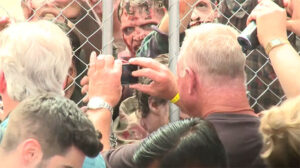 Zombies