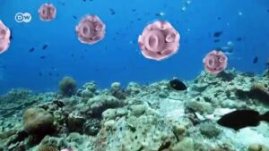 Climate-change-Oceans-hotter-than-ever-before-new-study-reveals