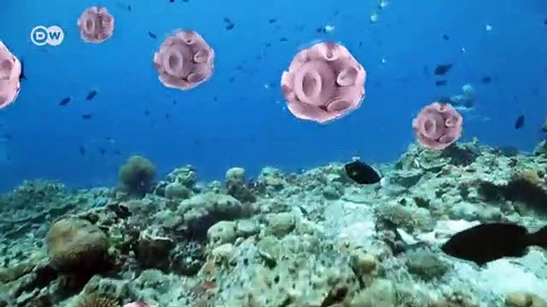 Climate-change-Oceans-hotter-than-ever-before-new-study-reveals