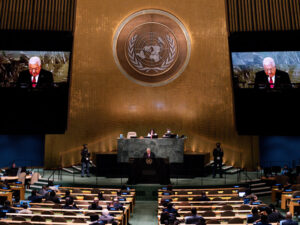 Will DOGE cripple the UN’s agencies?
